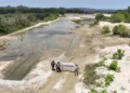 Profepa y Conanp capacitan a comités de vigilancia ambiental