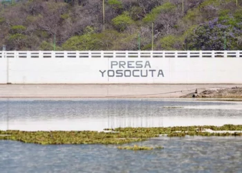 Foto: cortesía // Alivio con el nivel de la presa Yosocuta, pero el lirio acuático sigue siendo un problema.