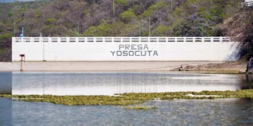 Foto: cortesía // Alivio con el nivel de la presa Yosocuta, pero el lirio acuático sigue siendo un problema.