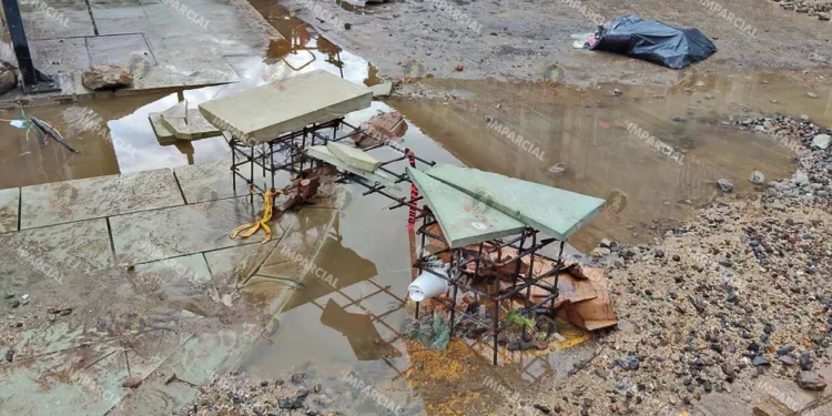 Foto: Adrián Gaytán // Ante lluvias intensas, suelen generarse inundaciones, deslaves y caída de árboles.