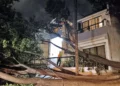 Foto: Protección Civil Oaxaca de Juárez // Árbol caído en Ignacio Comonfort, colonia Guelaguetza, en las faldas del Fortín.