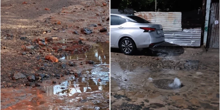 Vecinos de los barrios Marquesado y Xochimilco denuncian omisión de SOAPA ante brotes de aguas negras