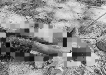 El cuerpo se encontraba tirado boca abajo y presentaba una herida de gravedad.