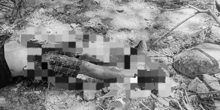 El cuerpo se encontraba tirado boca abajo y presentaba una herida de gravedad.