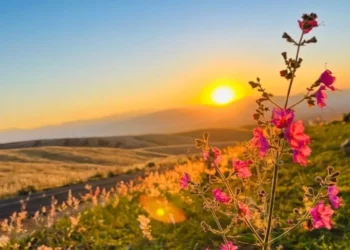 Solsticio de Verano 2026: ¿Cuándo es y por qué será el día más largo del año?