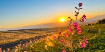 Solsticio de Verano 2026: ¿Cuándo es y por qué será el día más largo del año?