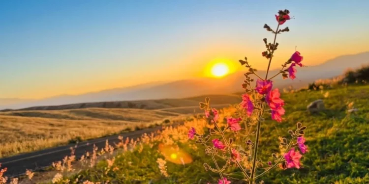 Solsticio de Verano 2026: ¿Cuándo es y por qué será el día más largo del año?