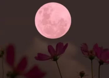 Calendario astronómico de junio 2026: Luna de Fresa y solsticio