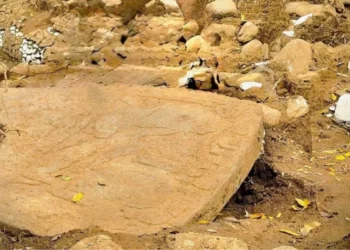 Histórico hallazgo en Veracruz: El INAH descubre plataforma prehispánica y monolito con rasgos mayas