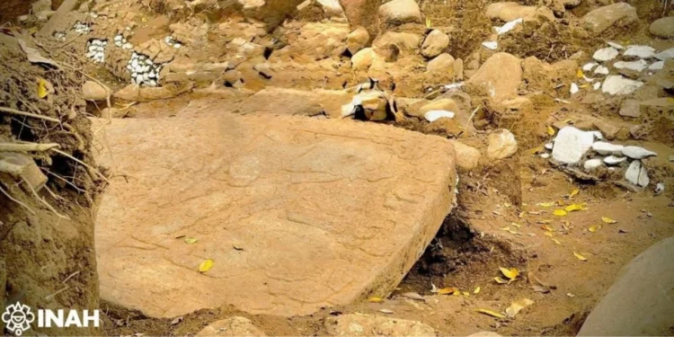 Histórico hallazgo en Veracruz: El INAH descubre plataforma prehispánica y monolito con rasgos mayas