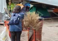 Foto: Jesús Santiago // Imposible entrar a limpiar el zócalo por el plantón magisterial.