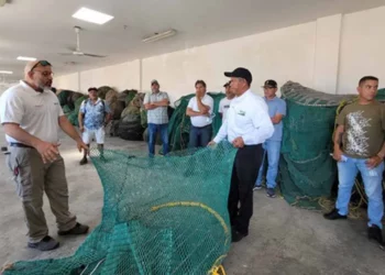 Las costas de Oaxaca son uno de los principales sitios de anidación de tortugas marinas en México.