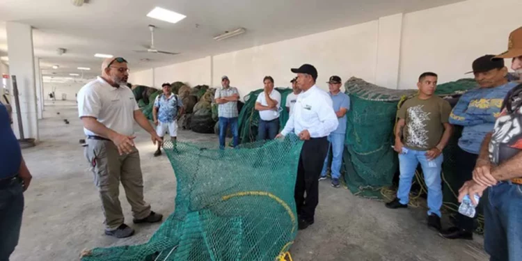 Las costas de Oaxaca son uno de los principales sitios de anidación de tortugas marinas en México.