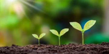 Día Mundial del Medio Ambiente: Los 5 grandes desafíos ecológicos que enfrenta México