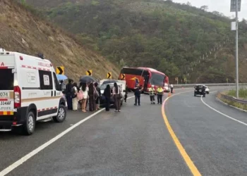 El autobús de la empresa “Turísticos Caled” quedó varado tras estrellarse contra el cerro al quedar sin frenos en la autopista a la Costa.
