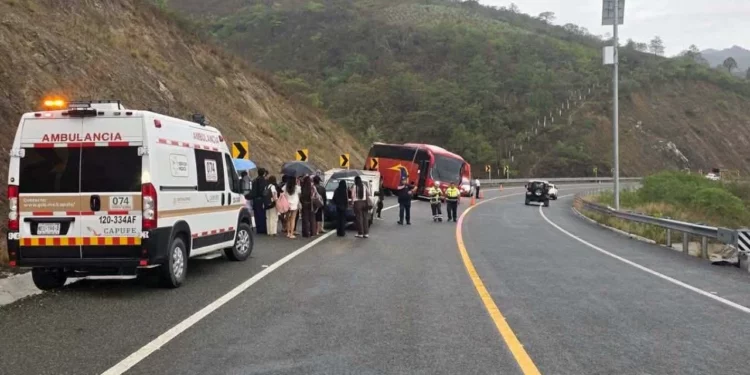 El autobús de la empresa “Turísticos Caled” quedó varado tras estrellarse contra el cerro al quedar sin frenos en la autopista a la Costa.