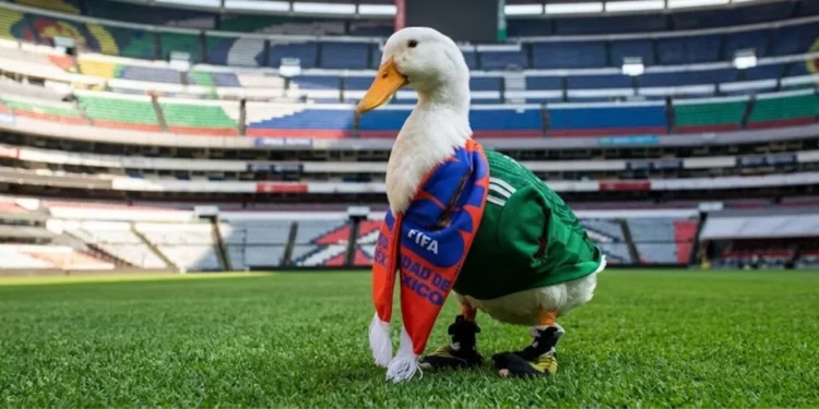 ¿Cómo registrar una marca ante el IMPI? El proceso legal detrás del viral “Pato Merlín”