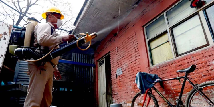 Foto: Agencias // Pidieron a la población sumarse a la estrategia de patio y vivienda limpia para evitar la proliferación del mosquito.