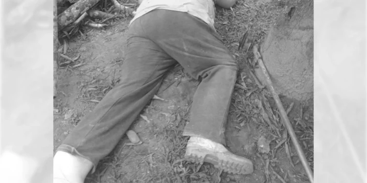 Rodrigo G. G., de 51 años de edad, realizaba limpieza de su terreno.