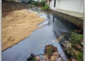 Foto: Arcana Noticias // Ríos de hidrocarburos, literalmente, corrieron por al menos 5 colonias de Salina Cruz.