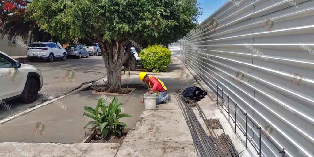 Fibra Danhos engulle espacio público y daña jardineras
