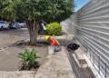 Foto: Pedro Silva // Un obrero de Fibra Danhos “encementa” una jardinera de manera impune.