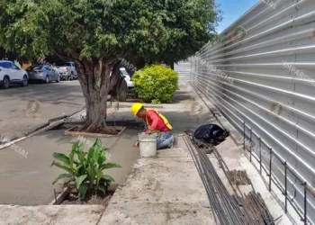 Foto: Pedro Silva // Un obrero de Fibra Danhos “encementa” una jardinera de manera impune.