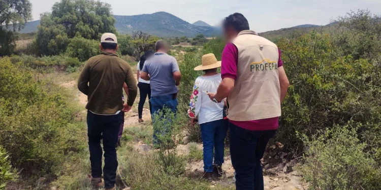 Foto: Profepa // Salina Cruz, Santa María Tonameca y San Pedro Pochutla tienen CVAP para avalar la prevención, detección y denuncia de posibles infracciones ambientales.