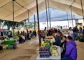 Se ofrecieron alimentos, hortalizas, plantas medicinales y productos del campo, además de mantener viva la práctica ancestral del trueque.