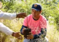 Foto: Municipio de Oaxaca de Juárez // Siembra de ciprés en El Fortín sin mínimo estudio ecológico.