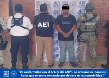Dos menores enfrentaron el horror para salvar a su madre de una agresión fatal