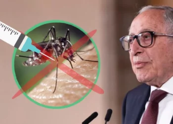 Vacuna contra el dengue en México: Cofepris la aprueba tras alerta por más de 2 mil casos