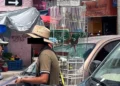 Vecinos y comerciantes de Huajuapan solicitaron la intervención de las autoridades.