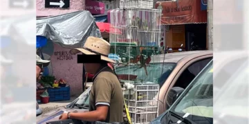 Vecinos y comerciantes de Huajuapan solicitaron la intervención de las autoridades.