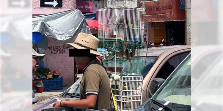 Vecinos y comerciantes de Huajuapan solicitaron la intervención de las autoridades.