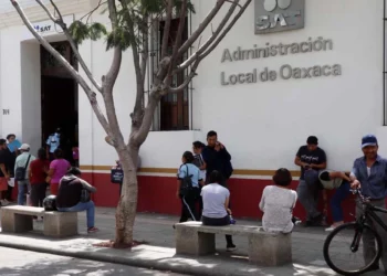 Habrá oficina móvil del SAT en Pluma Hidalgo