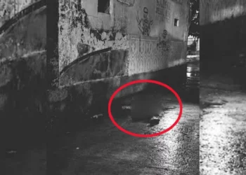 Mujer asesinada a puñaladas a espaldas de la Guardia Nacional en Tehuantepec