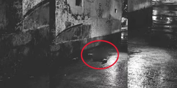 Mujer asesinada a puñaladas a espaldas de la Guardia Nacional en Tehuantepec