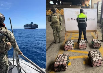 ¡Golpe al narco en el Pacífico! Incautan cocaína y detienen a cinco ecuatorianos en Michoacán
