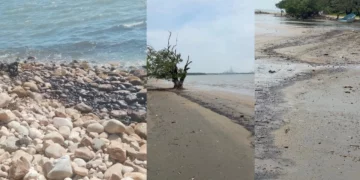 VIDEO | Derrame de hidrocarburo golpea a bahía La Ventosa; habitantes exigen respuesta de Pemex