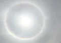 VIDEO | ¿Halo solar en Oaxaca, señal de catástrofe o fenómeno natura? Entre creencias, ciencia y señales del clima