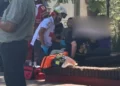 ¡Advertencias ignoradas! Rama cae sobre una mujer y expone el deterioro del arbolado en Oaxaca