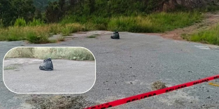 ¡Hallazgo macabro en el Istmo! Localizan restos óseos en plena Carretera Transístmica