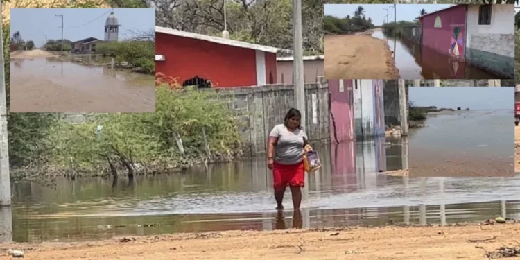 El mar avanza sobre San Mateo del Mar: oleaje inunda viviendas y golpea a decenas de familias