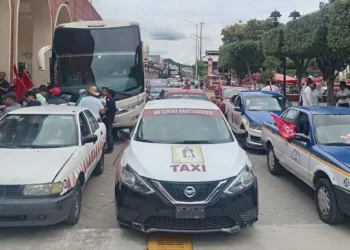 El dirigente sostuvo que los operativos contra unidades irregulares han resultado insuficientes.