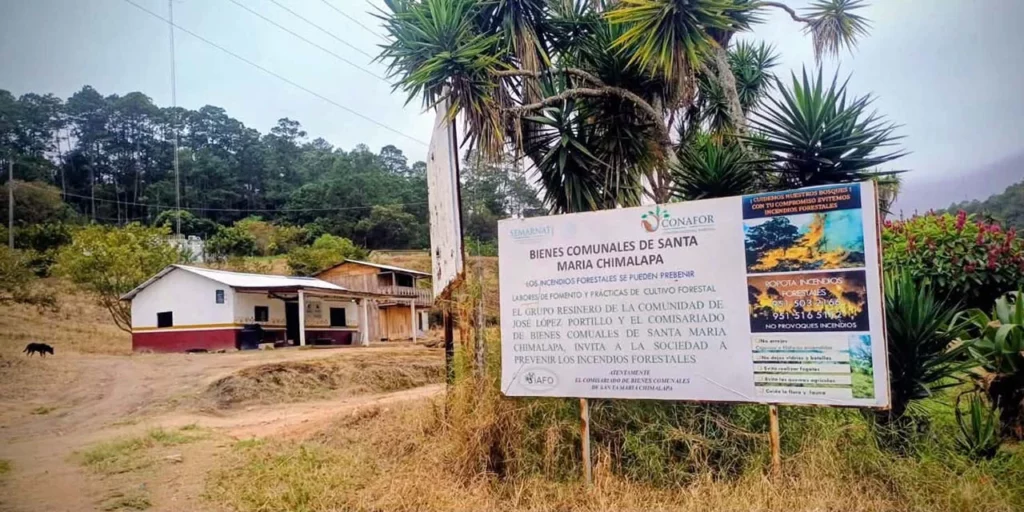 Confirma la Conanp el retiro de Chimalapas del esquema de ADVC