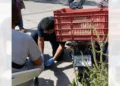 El percance vehicular se registró en la intersección de las calles Pino y Framboyanes.