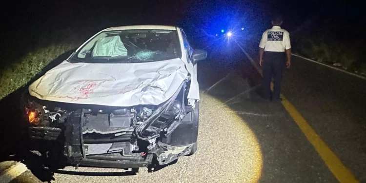 Elementos viales y federales implementaron un dispositivo de abanderamiento preventivo en el paraje ‘Don Ramón’ tras el choque en cadena. Las pesadas unidades involucradas quedaron varadas sobre la Carretera Federal 175.