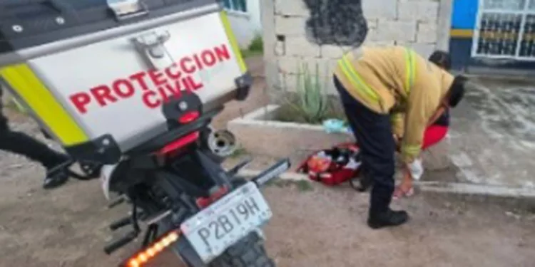 El ataque del canino ocurrió en la esquina de las calles Puente de Calderón y Victoria.