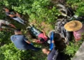 El conductor, bajo aparentes efectos del alcohol, fue rescatado por paramédicos de Bomberos.